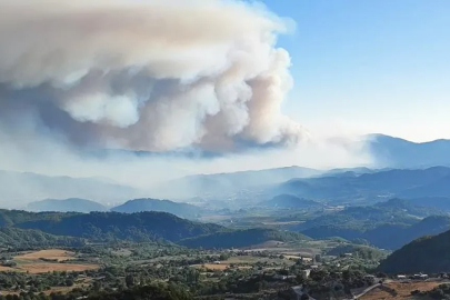 Suriye’deki orman yangını Türkiye sınırına ulaştı!