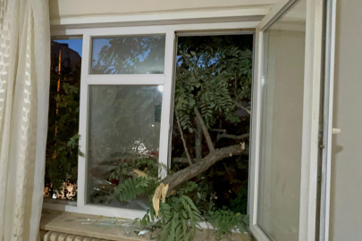 Tekirdağ'da balkonda kahve içerken üzerine ağaç devrildi