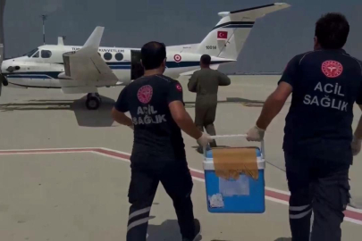 Beyin ölümü gerçekleşen gencin organları 2 kişiye umut oldu