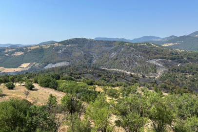 Bursa-Balıkesir sınırında çıkan orman yangını kontrol altına alındı