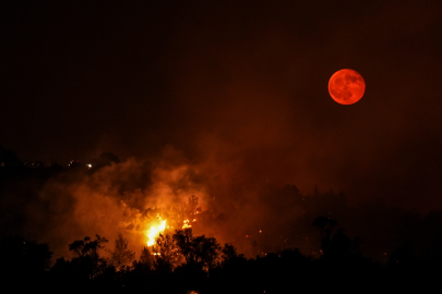 Bursa-Balıkesir sınırında orman yangını! Gece alevler yükseldi...