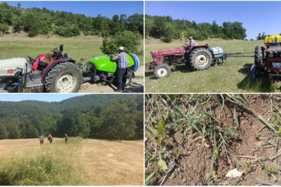 Bursa’da çekirge ile mücadele başladı