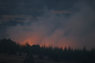 Kırklareli'ndeki orman yangını kontrol altına alındı