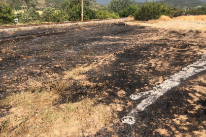 Bilecik'te anız yangını büyümeden söndürüldü