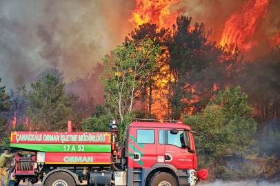 Edirne’de orman ve anız yangınında alevler metrelerce yükseldi