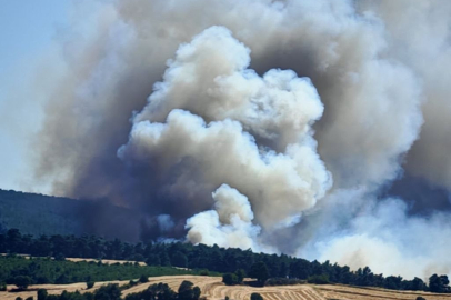Edirne Keşan'da orman yangını