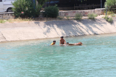 Sıcaklara dayanamadılar! Canlarını böyle hiçe saydılar