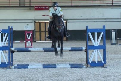 Türk Silahlı Kuvvetlerinin binek ve tören atları Bursa'da yetiştiriliyor