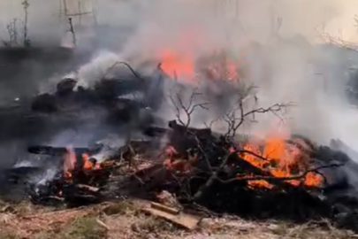 Yalova’da zeytinlikte yangın çıktı