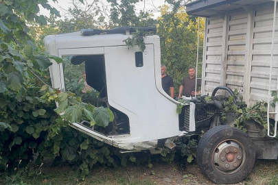 Zonguldak'ta kamyonet fındık bahçesine uçtu: Araçtan fırlayan sürücü öldü