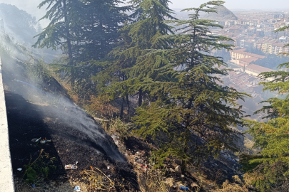 Afyonkarahisar'da ağaçlık alandaki yangın paniğe neden oldu
