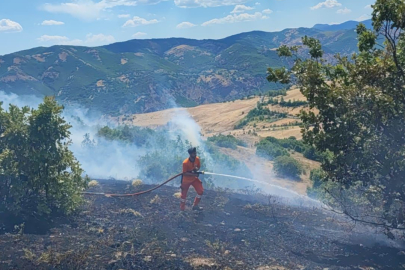 Bingöl’de orman yangını kontrol altına alındı