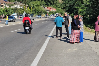 Zonguldak'ta çıkan örtü yangını kontrol altında