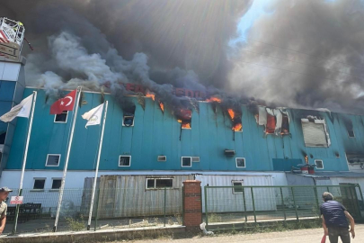 Bolu'da fabrika yangını