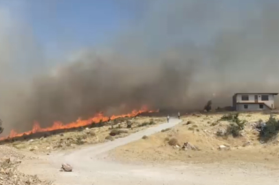 Çanakkale Ayvacık'ta başlayan yangın yerleşim yerlerini tehdit ediyor