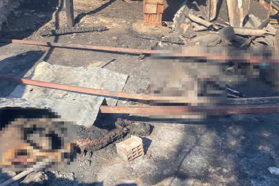 Çanakkale’de çıkan orman yangınında damlar yandı