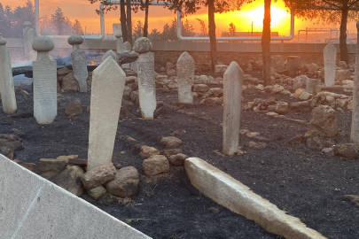 Çanakkale'deki orman yangınında tarihi mezarlar zarar gördü