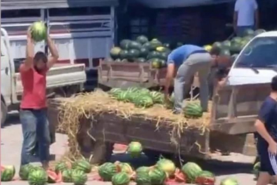 Karpuzları yere atıp parçalamışlardı: Çiftçilere rekor ceza! Tam 34 milyon TL...