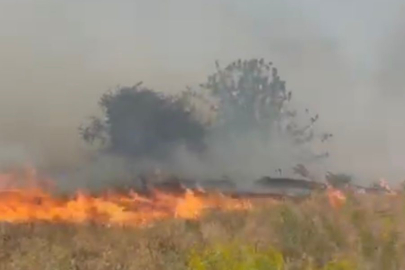 Malatya Doğanyol'da bahçe yangını