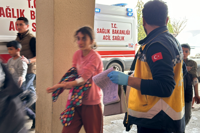 Şanlıurfa'da Siverek’te yolun karşısına geçerken otomobilin çarptığı 2 kişi yaralandı