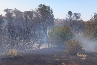 Tekirdağ Muratlı’da anız yangını
