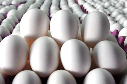 Yumurta fiyatlarına zam geldi: İşte yeni fiyatlar
