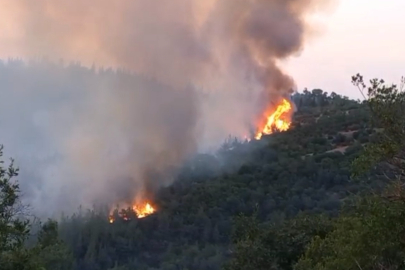 Balıkesir Altıeylül'deki orman yangınına müdahale sürüyor