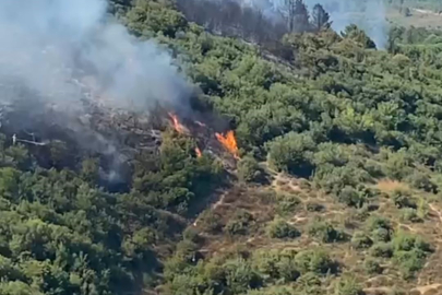 İstanbul Sultangazi Kent Ormanı'ndan alevler yükseldi