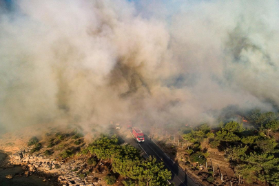 Mersin'de orman yangını çıkaran zanlı tutuklandı