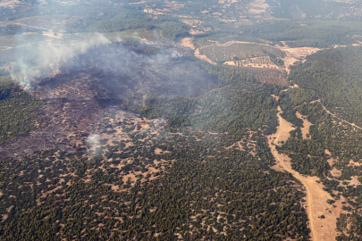 Muğla Yatağan yangını kontrol altında