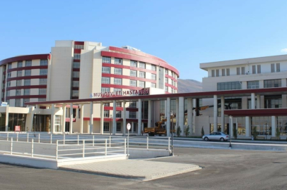 Muş'ta kene ısırdı, KKKA hastalığına yakalandı, köyde bilgilendirme çalışması başlatıldı