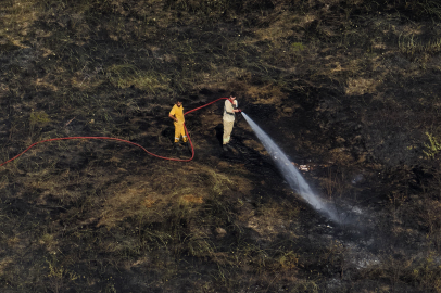 Yalova'da arazi yangını çıktı