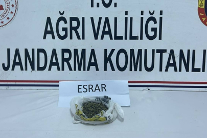Ağrı'da uyuşturucu operasyonu: 511 kök kenevir ve 50 gram esrar ele geçirildi
