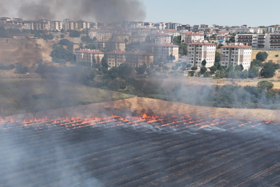 Edirne'de anız yangını yerleşim bölgesine metreler kala söndürüldü
