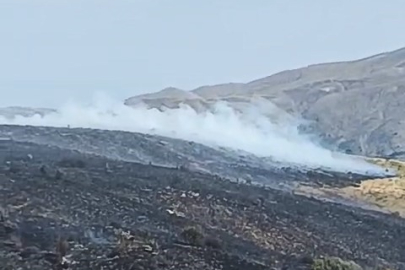 Elazığ’da arazi yangını
