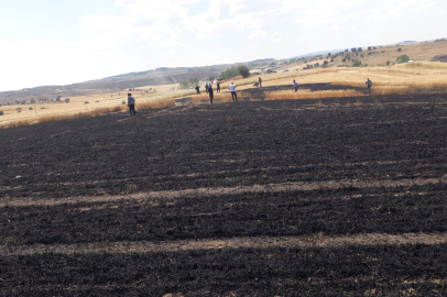 Kastamonu'da buğday ekili tarlada çıkan yangında 15 dönüm alan zarar gördü