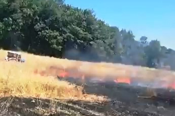 Samsun'da 1 yıllık emek kül oldu, orman son anda kurtarıldı