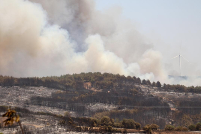 Tekirdağ'daki orman yangını kısmen kontrol altında