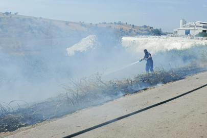 Bandırma-Bursa karayolunda arazi yangını kontrol altında