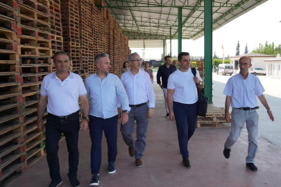 Bursa Gürsu'da yeşil dönüşüm başladı