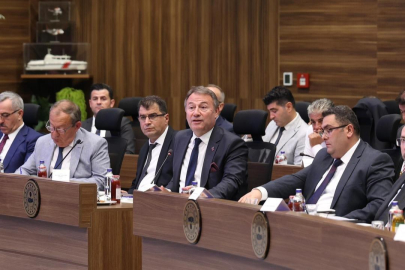 İçişleri Bakanlığı ve 30 Büyükşehir Belediyesi arasında toplantı: Trafik hız levhaları ve sokak hayvanları masadaydı