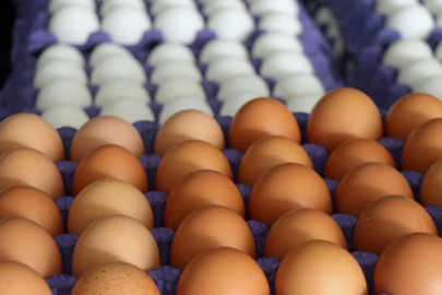 Yumurtada 'tarih' etiketi değişti