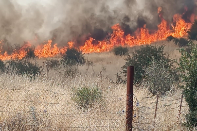 Batman'daki orman yangını kontrol altında