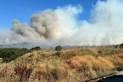 Bilecik’teki orman yangınına müdahale sürüyor