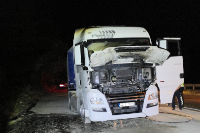 Bursa'da tırda çıkan yangını itfaiye söndürdü