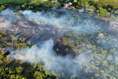 Düzce'de anız yangını orman sıçradı: 10 dönüm küle döndü