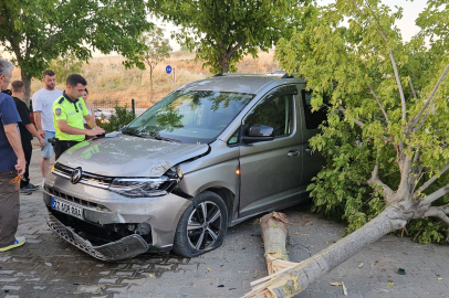 Edirne'de seyir halindeki ticari araç site bahçesine girdi