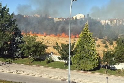 Eskişehir'de parkta çıkan yangın paniğe sebep oldu