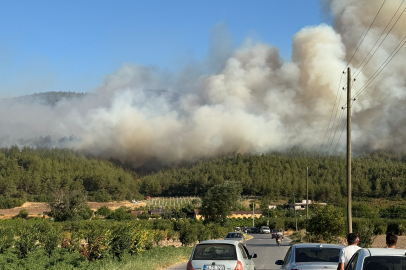 Sakarya'da orman yangını çıjtı