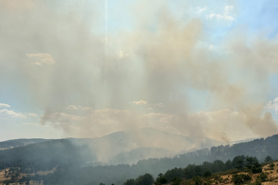 Uşak’takiyangına havadan ve karadan müdahale devam ediyor